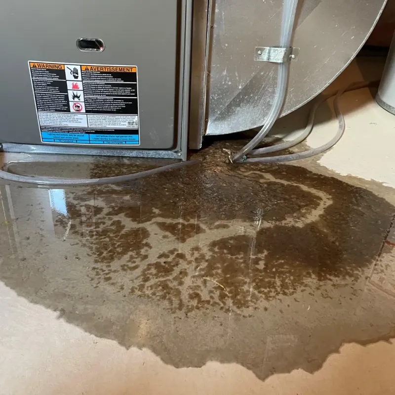 Appliance Leak Cleanup in Champaign County, IL