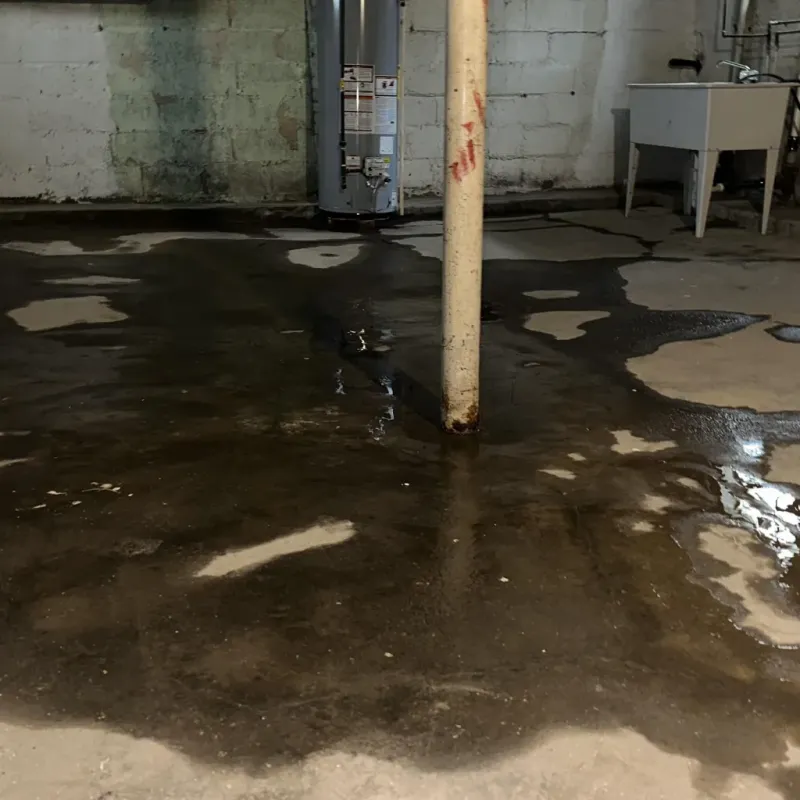 Emergency Water Extraction And Removal in Champaign County, IL